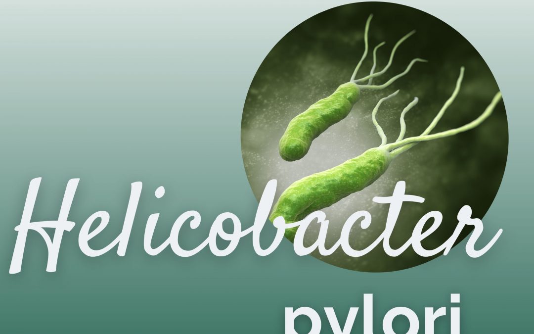 Helicobacter pylori verständlich erklärt