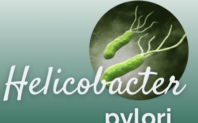 Helicobacter pylori verständlich erklärt